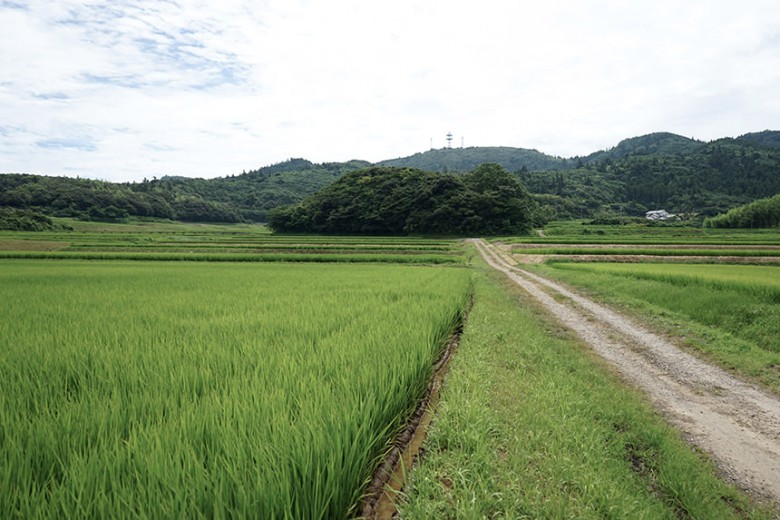 隠岐の島の風景写真