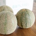 今年も益田からメロンが届きました
