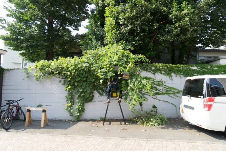 益田工房富ヶ谷オフィス駐車場に手入れをする代表大石