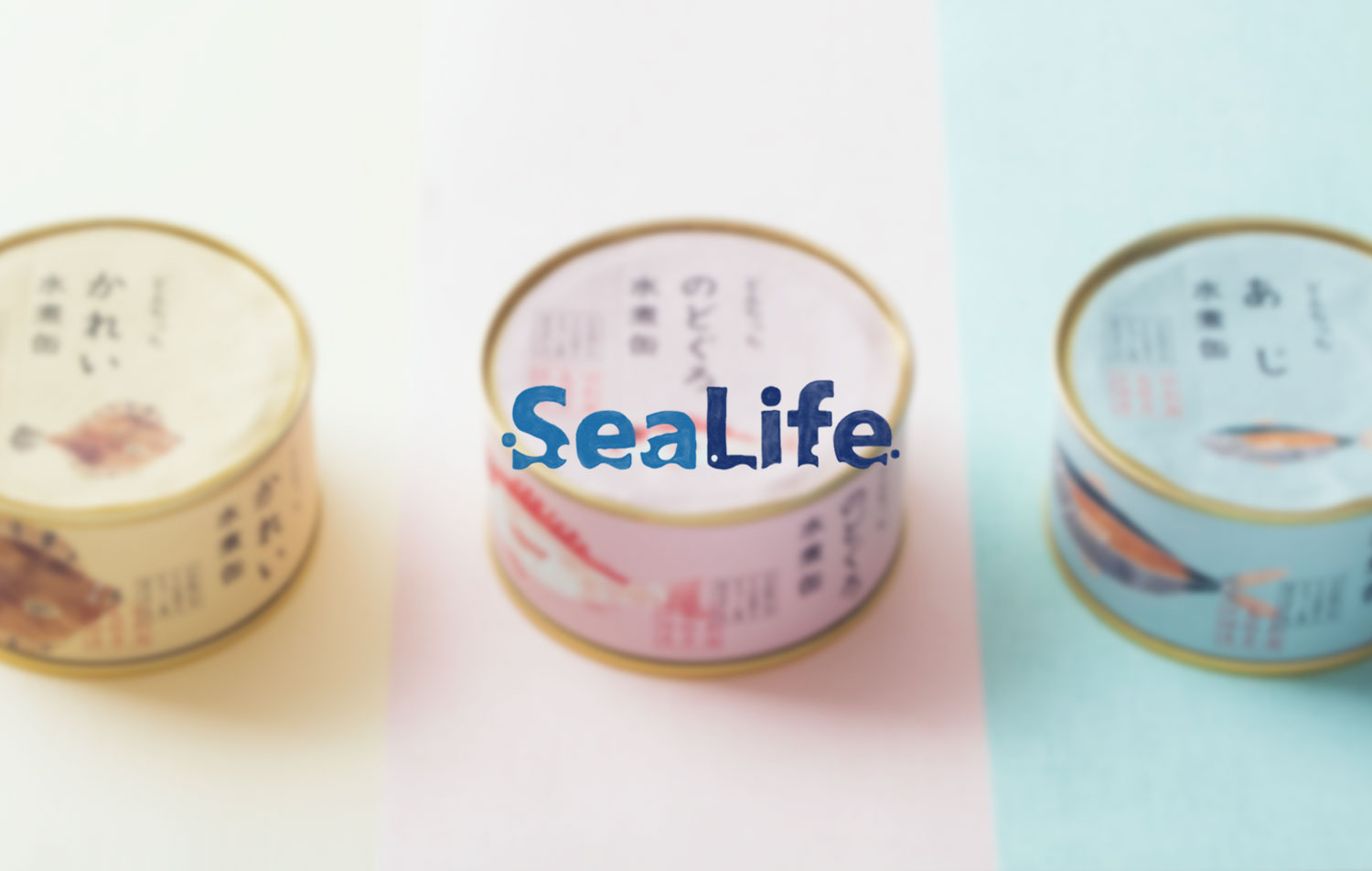シーライフ / 日替わりで中身の変わる旬魚缶「今朝の浜」