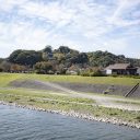 食欲の秋、益田の柿
