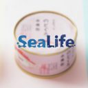 シーライフ / 日替わりで中身の変わる旬魚缶「今朝の浜」