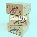 SeaLife 缶詰 パッケージデザイン