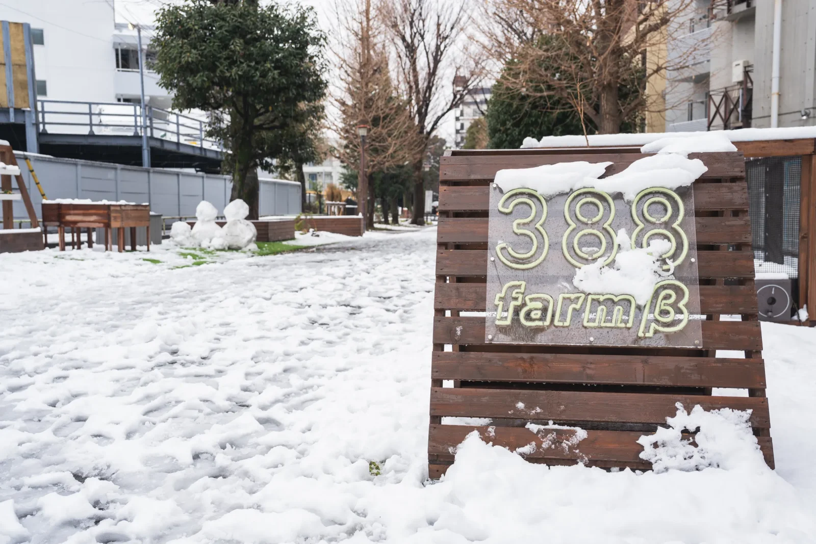 388farmβ(ササハタハツファーム)の看板に積もる雪