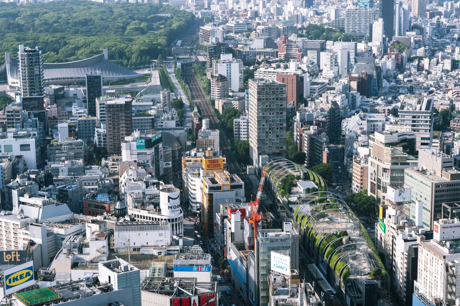 渋谷の街